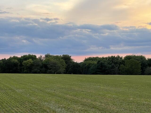 Lt2 Lt2 Lulu Lane East Troy, WI 53120 - Photo 7 of 11 Lot allows for Walkout