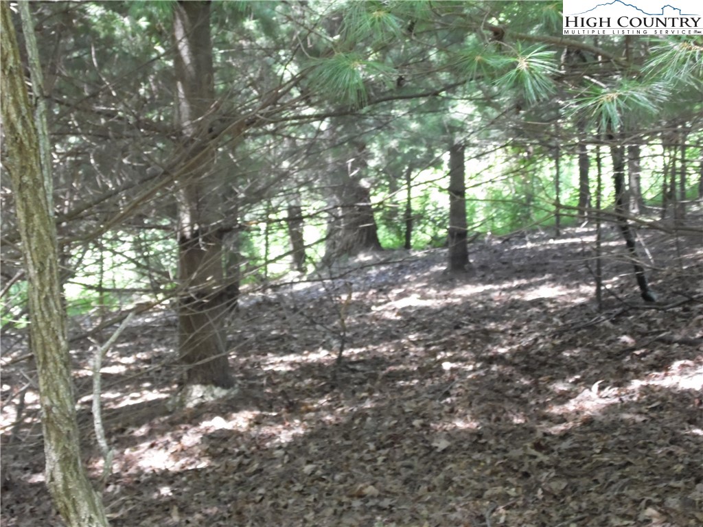 Hickory View Drive, Unit 34 Sparta, NC 28675 - Photo 11 of 12 a backyard of a house with lots of green space