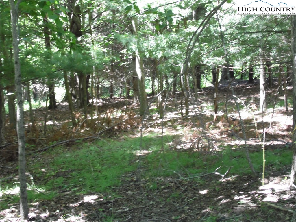 Hickory View Drive, Unit 34 Sparta, NC 28675 - Photo 3 of 12 a backyard of a house with lots of green space
