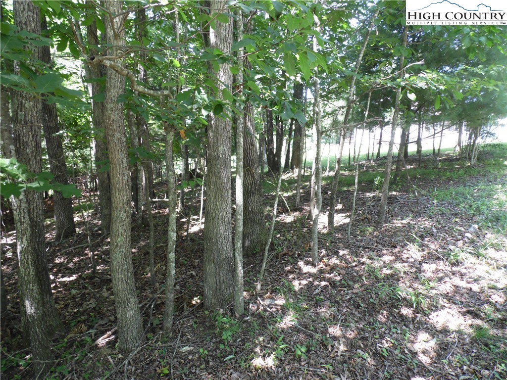 Hickory View Drive, Unit 34 Sparta, NC 28675 - Photo 8 of 12
