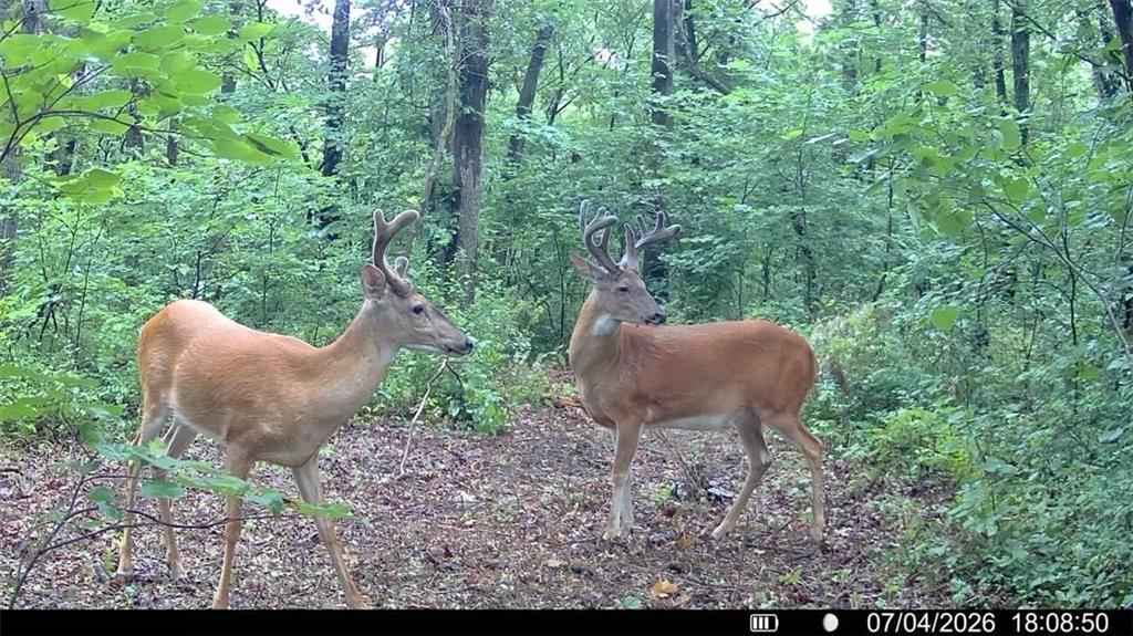 2163 East 500 Road Lecompton, KS 66050 - Photo 74 of 98
