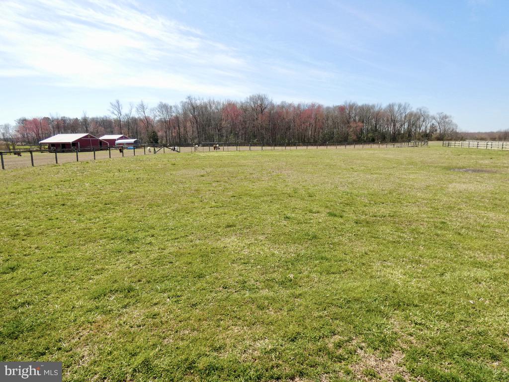 24771 Trunk Line Road Henderson, MD 21640 - Photo 53 of 69 Gallery Image 53