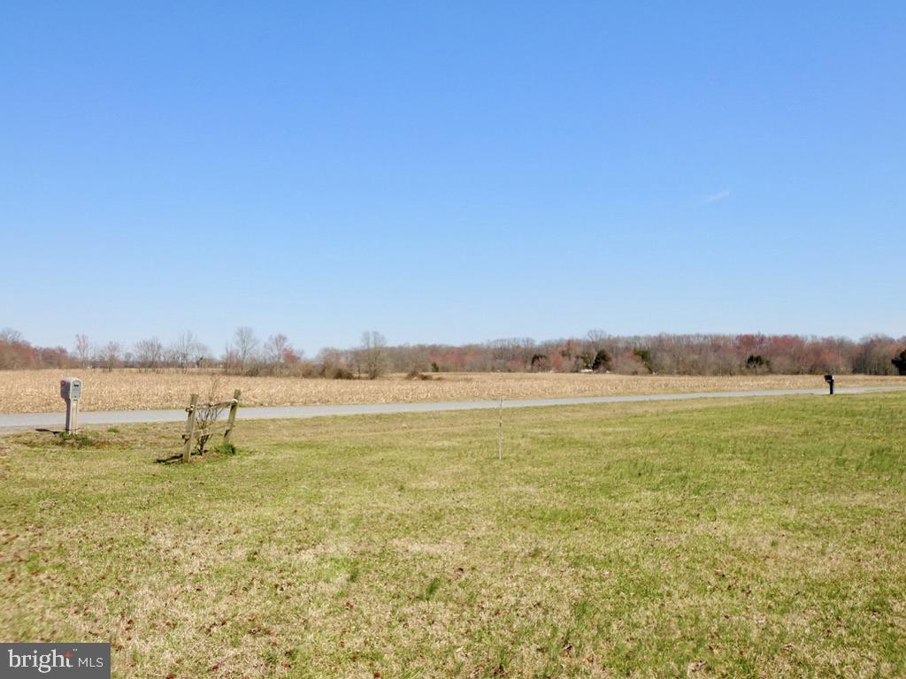 24771 Trunk Line Road Henderson, MD 21640 - Photo 65 of 69 Gallery Image 65