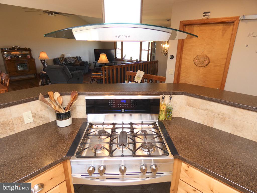 24771 Trunk Line Road Henderson, MD 21640 - Photo 10 of 69 Gallery Image 10