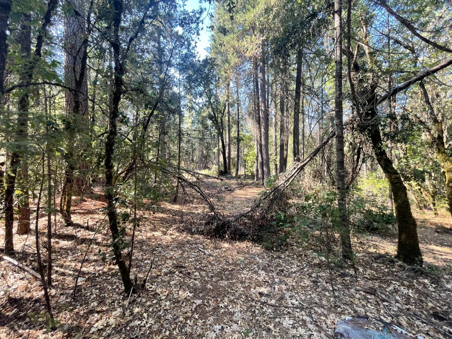 0 Belle Star Road Grass Valley, CA 95945 - Photo 12 of 14