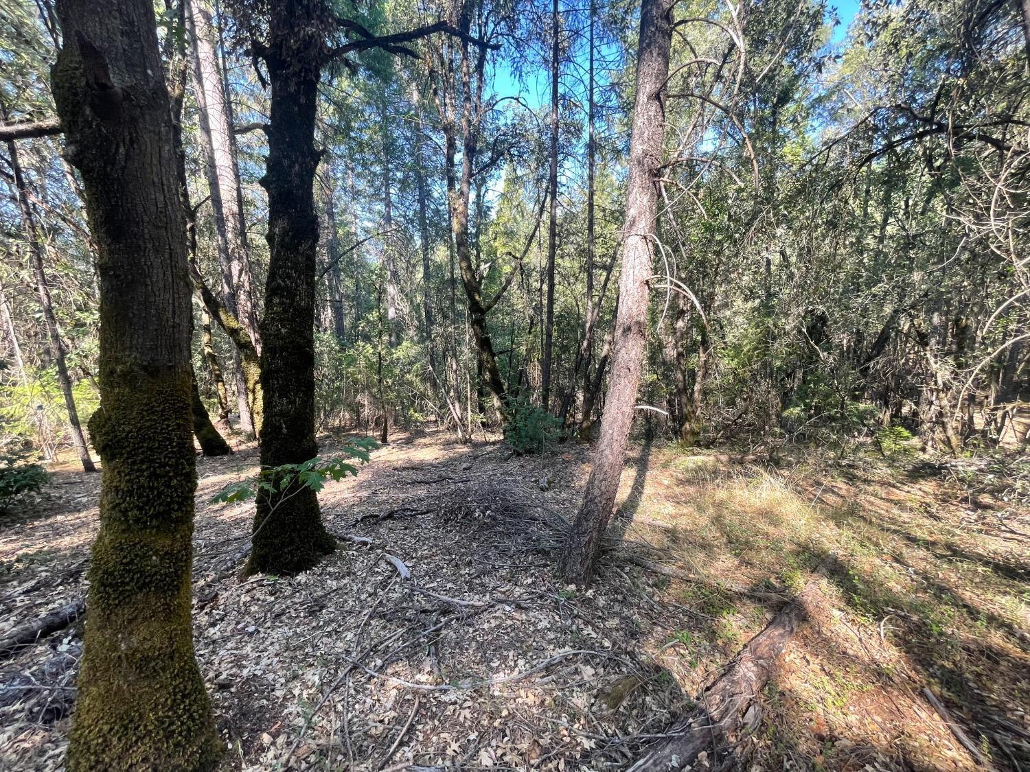 0 Belle Star Road Grass Valley, CA 95945 - Photo 13 of 14