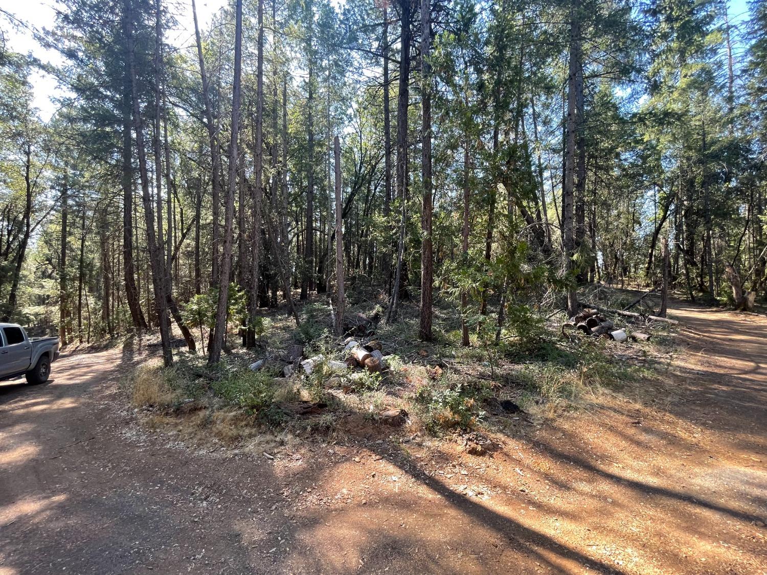 0 Belle Star Road Grass Valley, CA 95945 - Photo 14 of 14