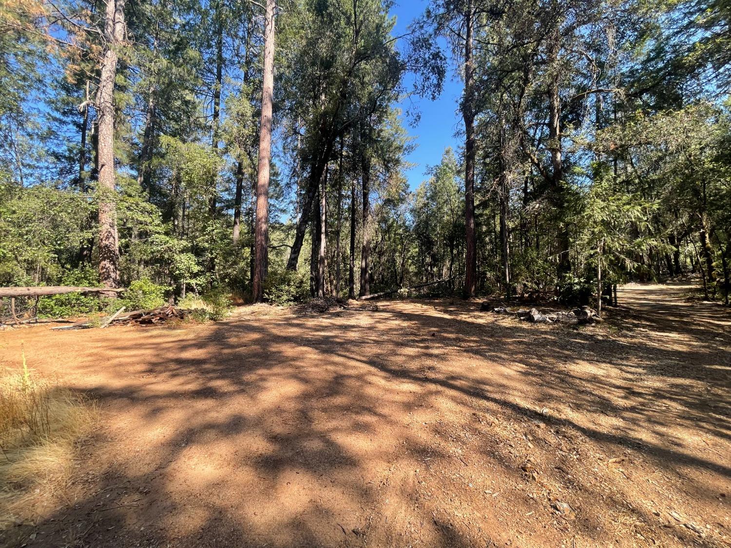 0 Belle Star Road Grass Valley, CA 95945 - Photo 3 of 14