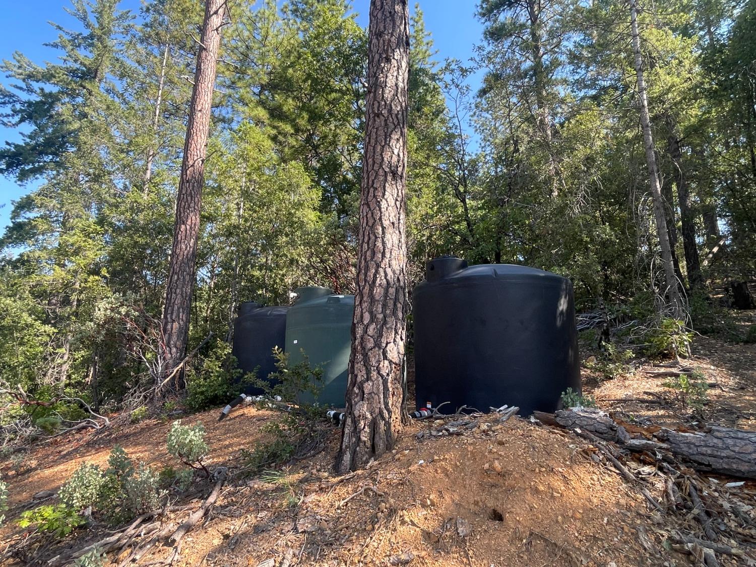 0 Belle Star Road Grass Valley, CA 95945 - Photo 5 of 14