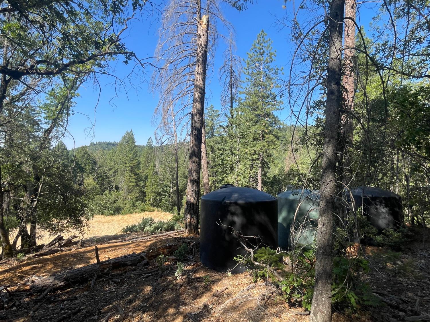 0 Belle Star Road Grass Valley, CA 95945 - Photo 6 of 14