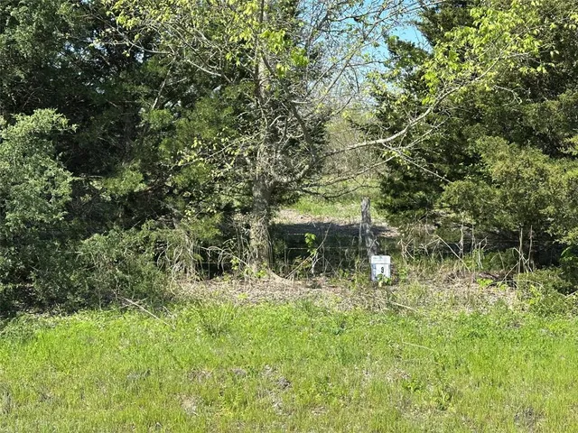 a view of swimming pool from a yard
