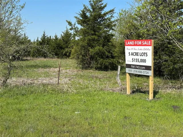 a view of a field with a tree