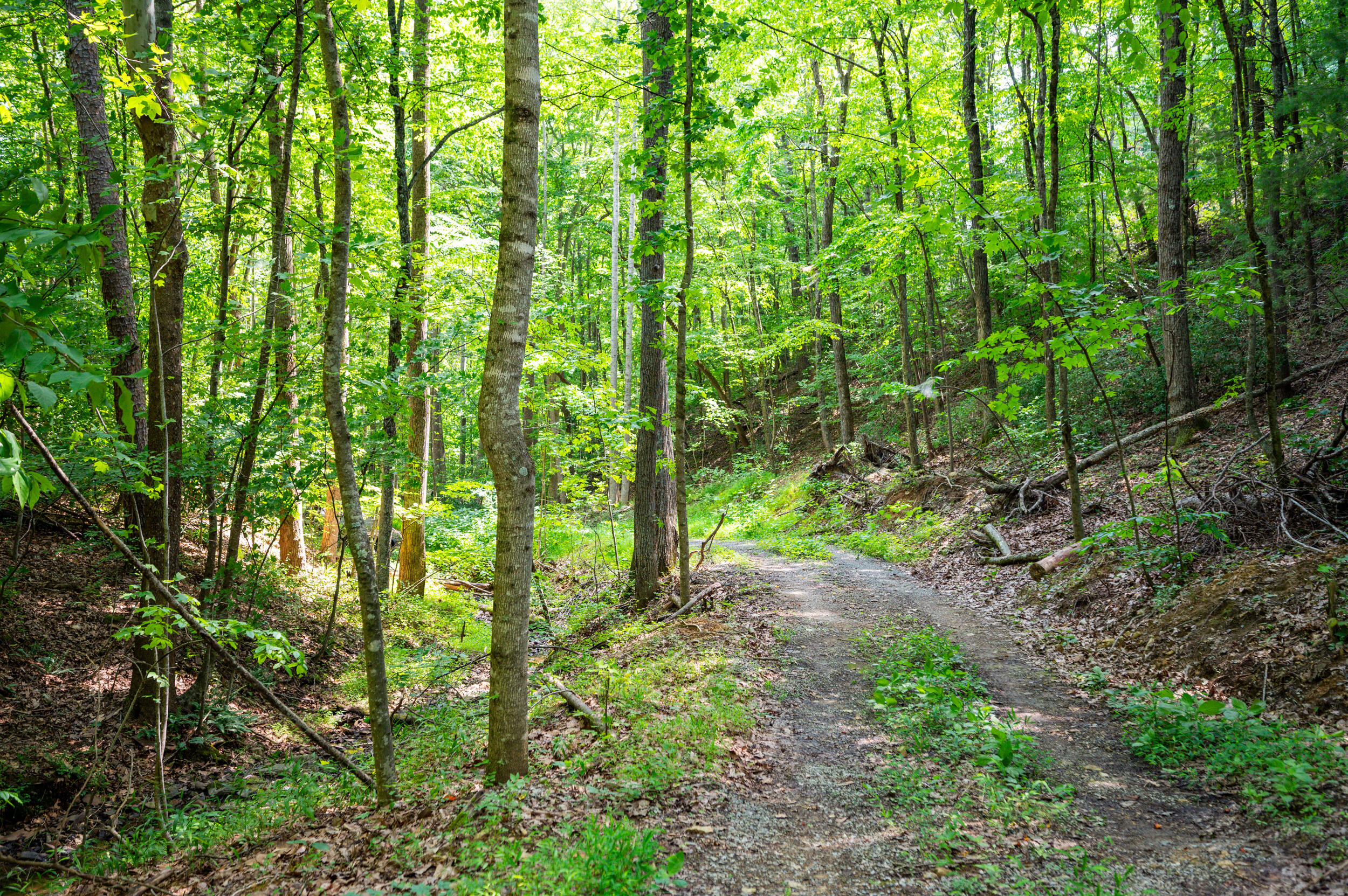 0 Adventure Mountain Road Montvale, VA 24122 - Photo 49 of 52 49_adventure_mountain_rd-41