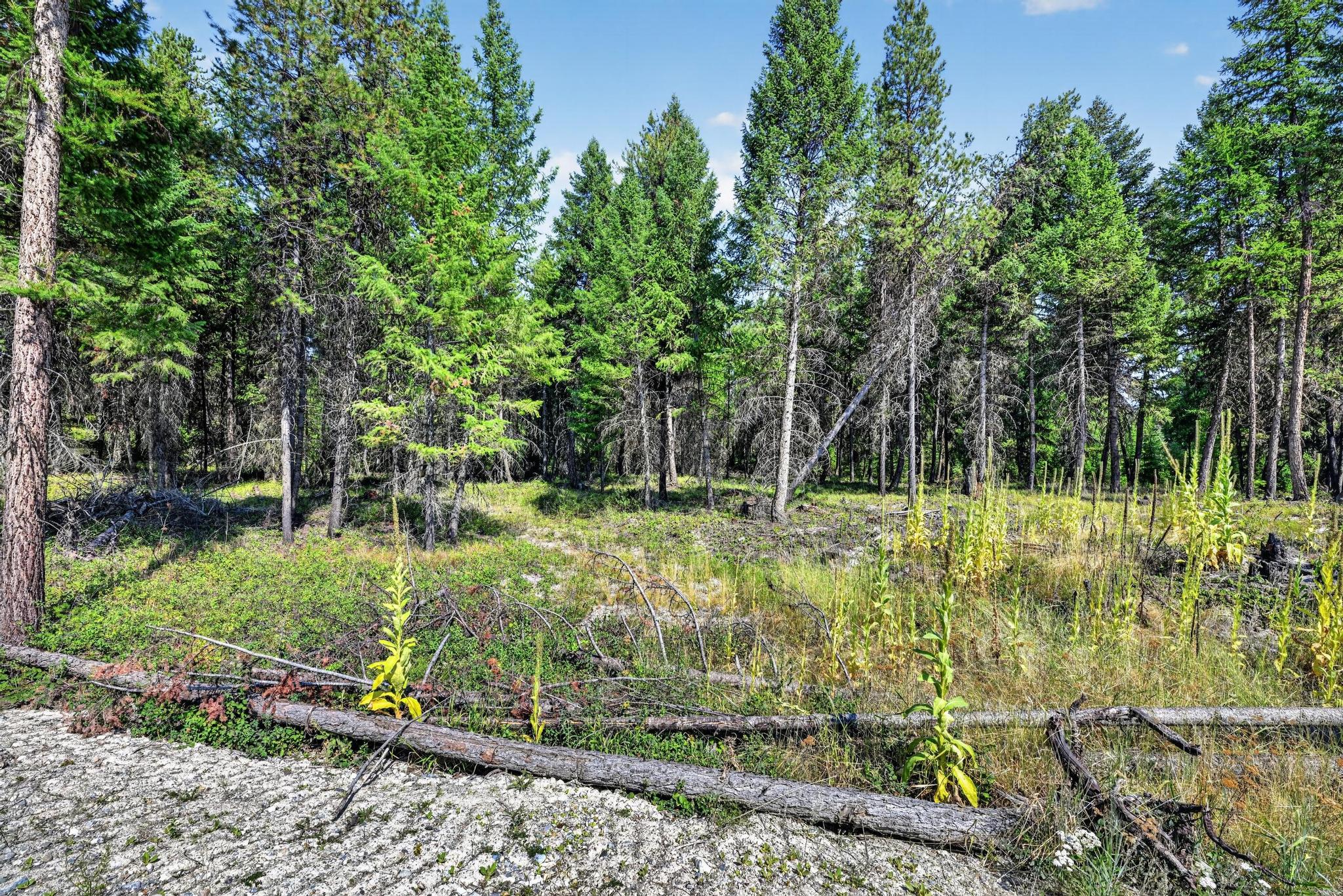 Lot 5 Forest Ridge Road Eureka, MT 59917 - Photo 22 of 23 Gallery Image 22
