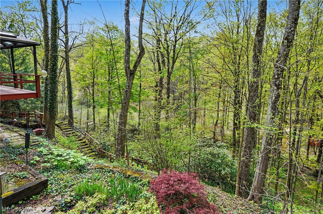12376 Heath Road Chesterland, OH 44026 - Photo 39 of 50 With stairs to the pond and stream