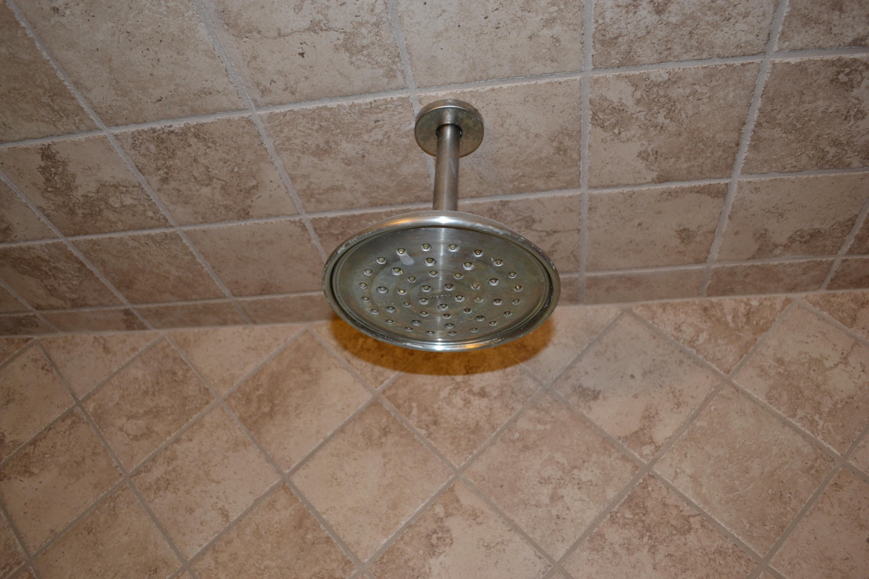 923 Northwest 3rd Avenue Boca Raton, FL 33432 - Photo 19 of 27 Guest Shower Rainshower Head