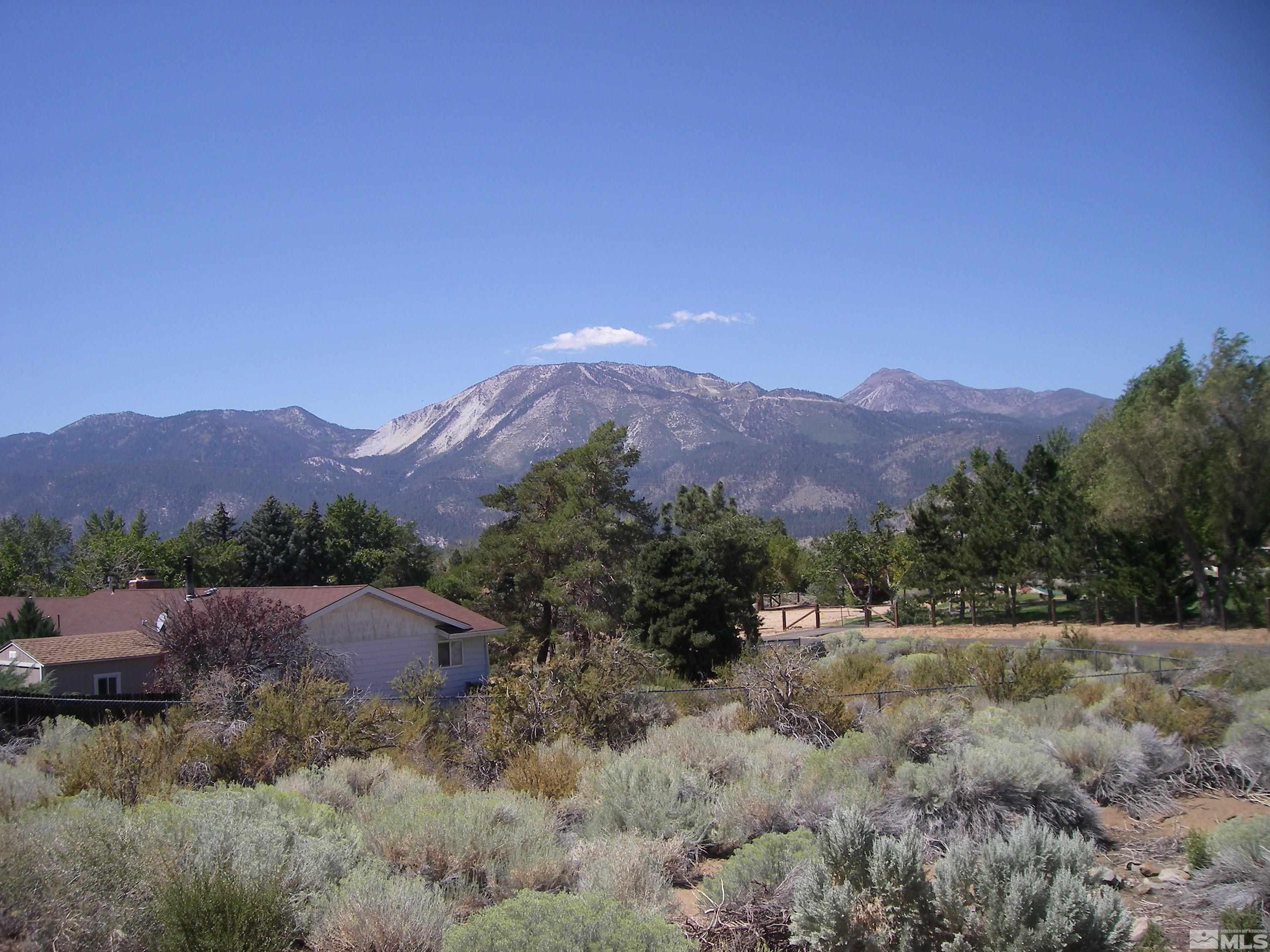 3045 Chipmunk Drive Washoe Valley, NV 89704 - Photo 27 of 32 Photo 27