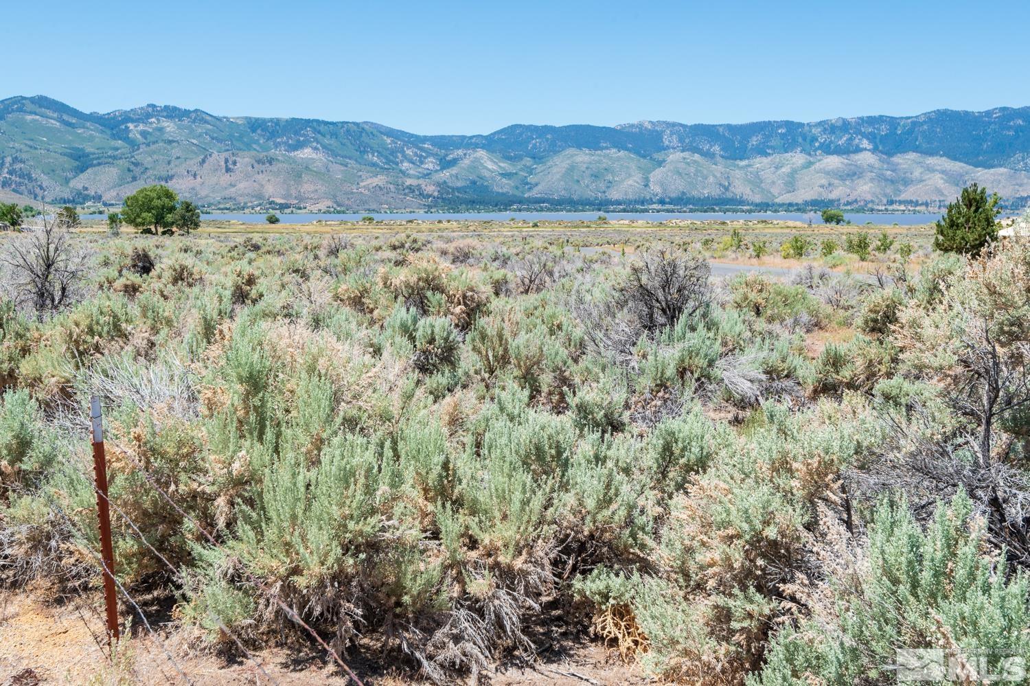 3045 Chipmunk Drive Washoe Valley, NV 89704 - Photo 29 of 32 Photo 29