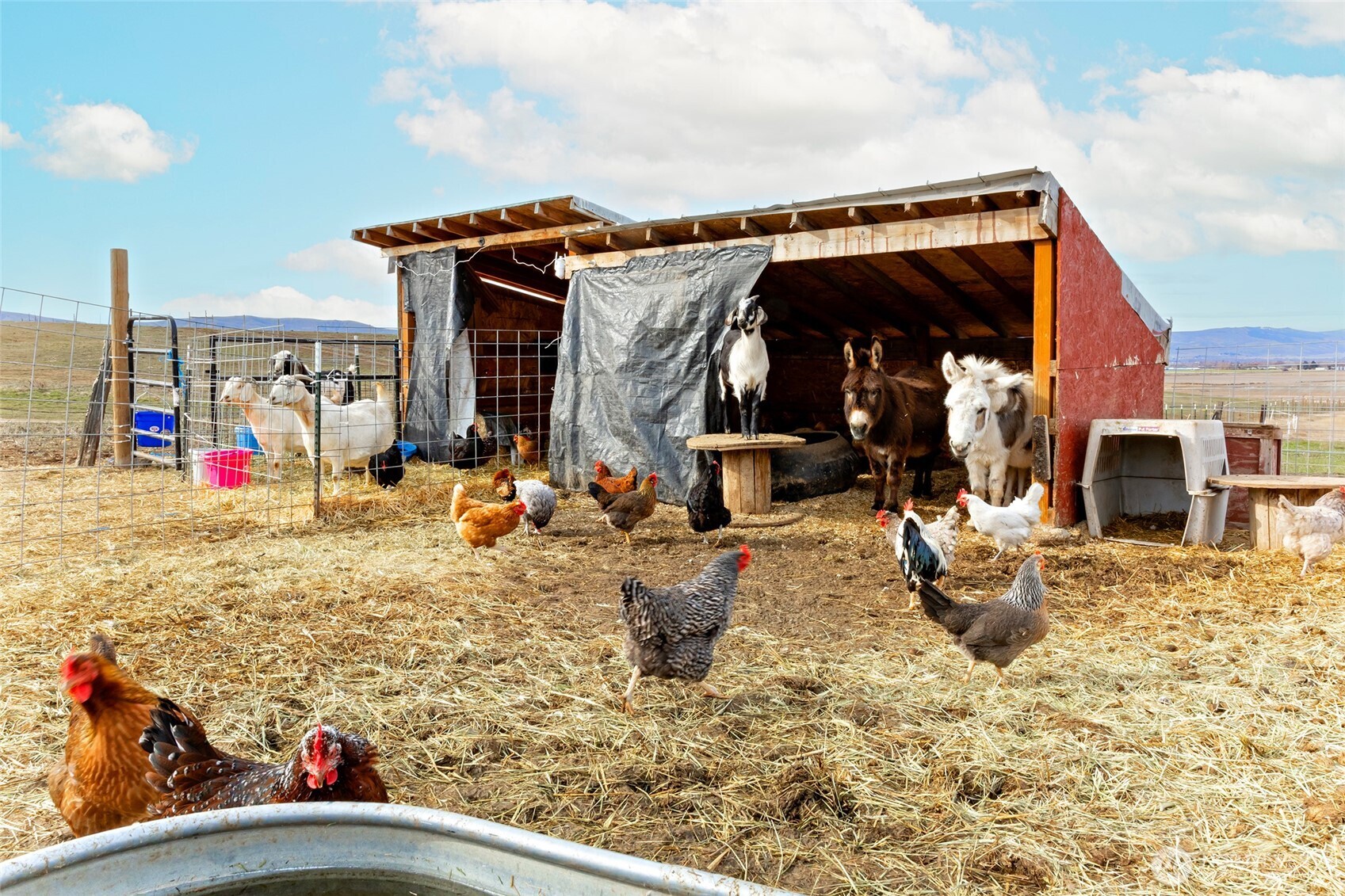 2416 Clerf Road Ellensburg, WA 98926 - Photo 33 of 35 a view of a house with backyard