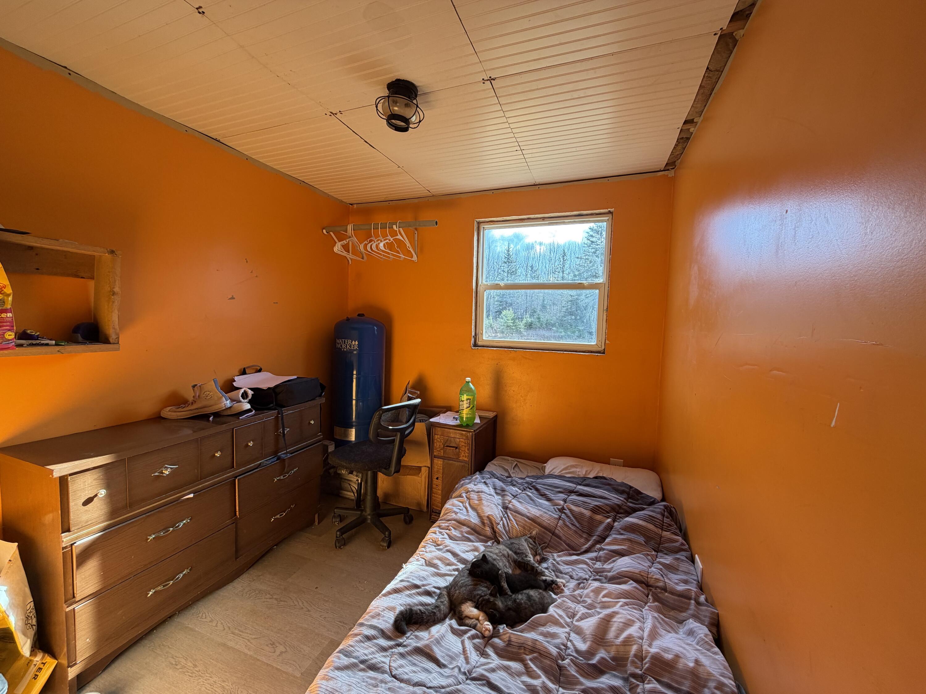 946 Main Street Springfield, ME 04487 - Photo 8 of 8 IMG_1348