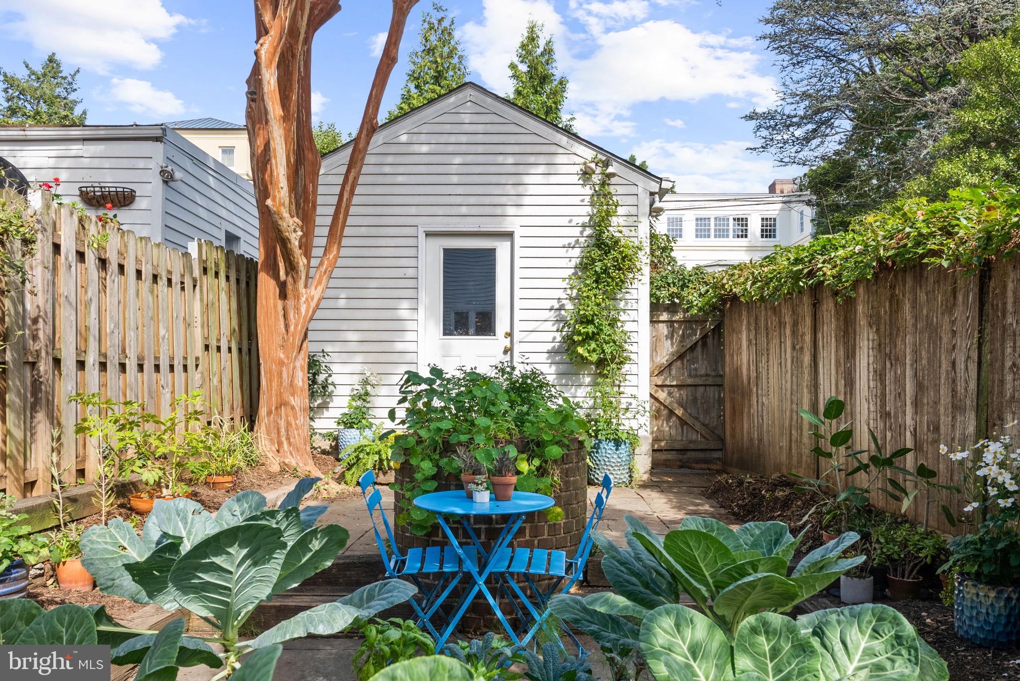 3217 Reservoir Road Northwest Washington, DC 20007 - Photo 27 of 35 Garden and garage