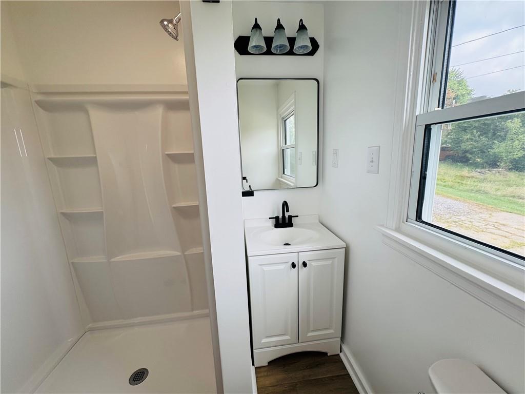 1248 Saltsburg Road Export, PA 15632 - Photo 20 of 44 a bathroom with a sink a toilet and shower