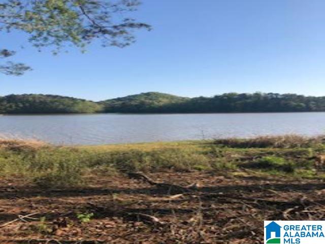 3354 River Ranch Road Ragland, AL 35131 - Photo 4 of 6