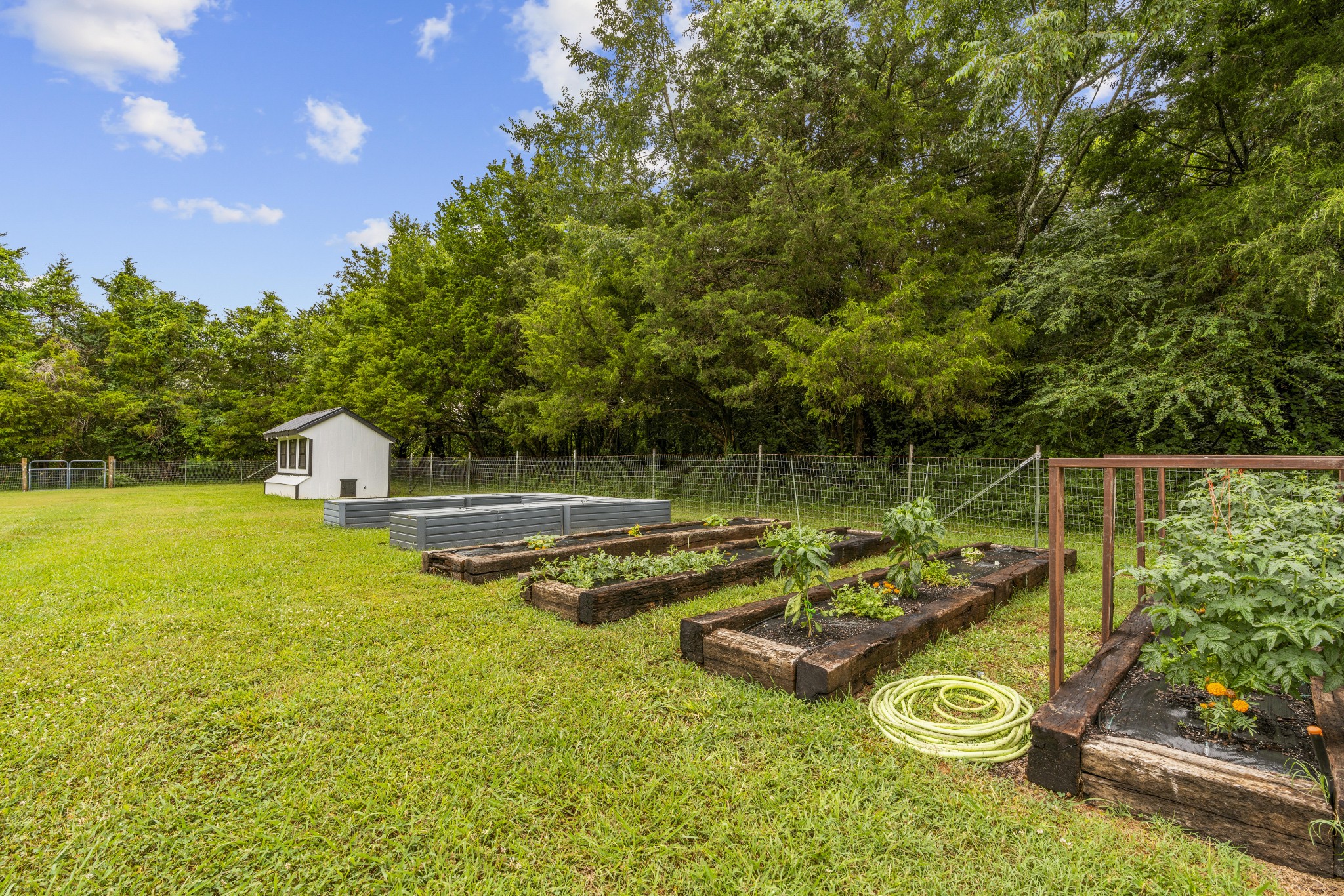 249 Walnut Grove Road Christiana, TN 37037 - Photo 25 of 34