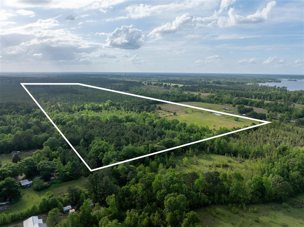 0 Odis Greene Road Deridder, LA 70634 - Photo 4 of 17 Gallery Image 4