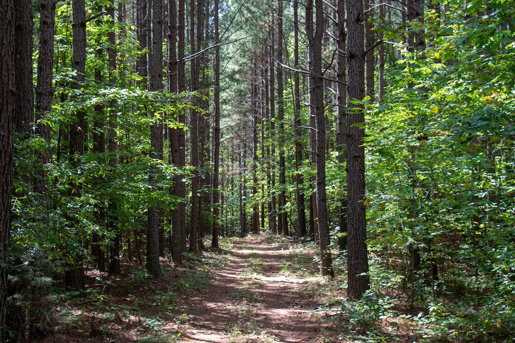 South County Line Road Patrick Springs, VA 24133 - Photo 47 of 54 Gallery Image 47