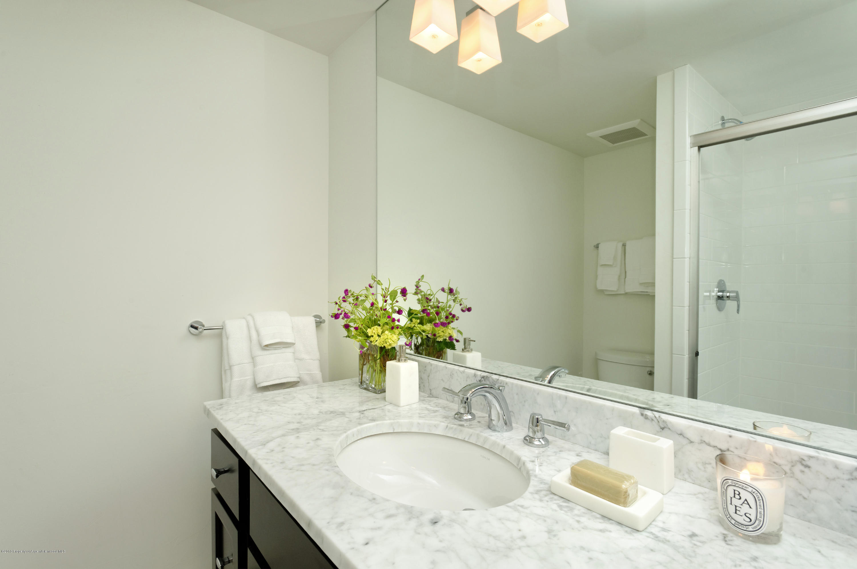 222 Meadow Road Snowmass Village, CO 81615 - Photo 17 of 21 Lower Level Bath