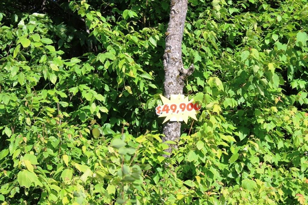 8 Alpine Ridge Drive Greenville, ME 04441 - Photo 5 of 21 Photo