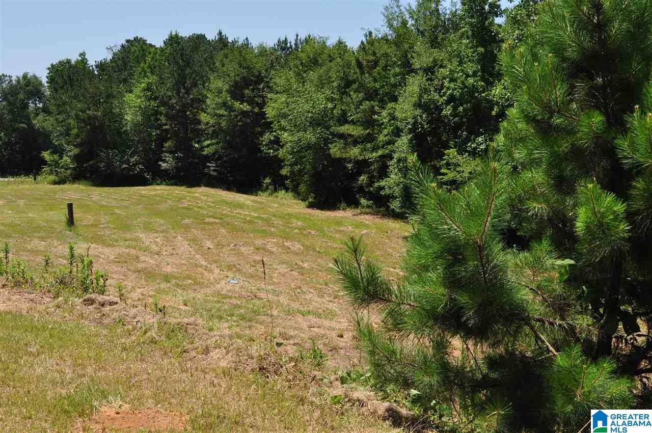 9488 County Road 9 Clanton, AL 35045 - Photo 2 of 18