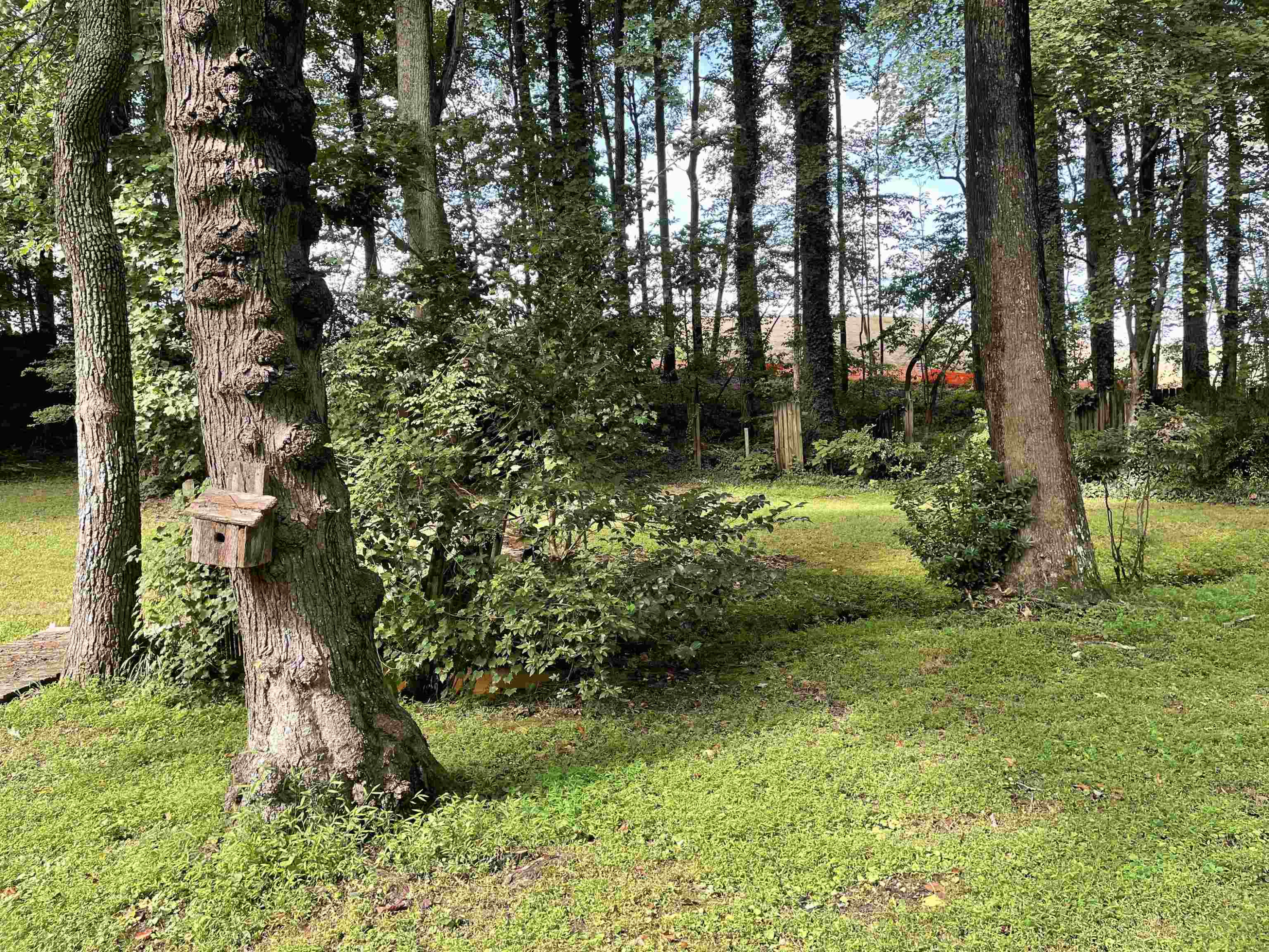 313 Gary Street Raleigh, NC 27606 - Photo 24 of 24 Photo 24