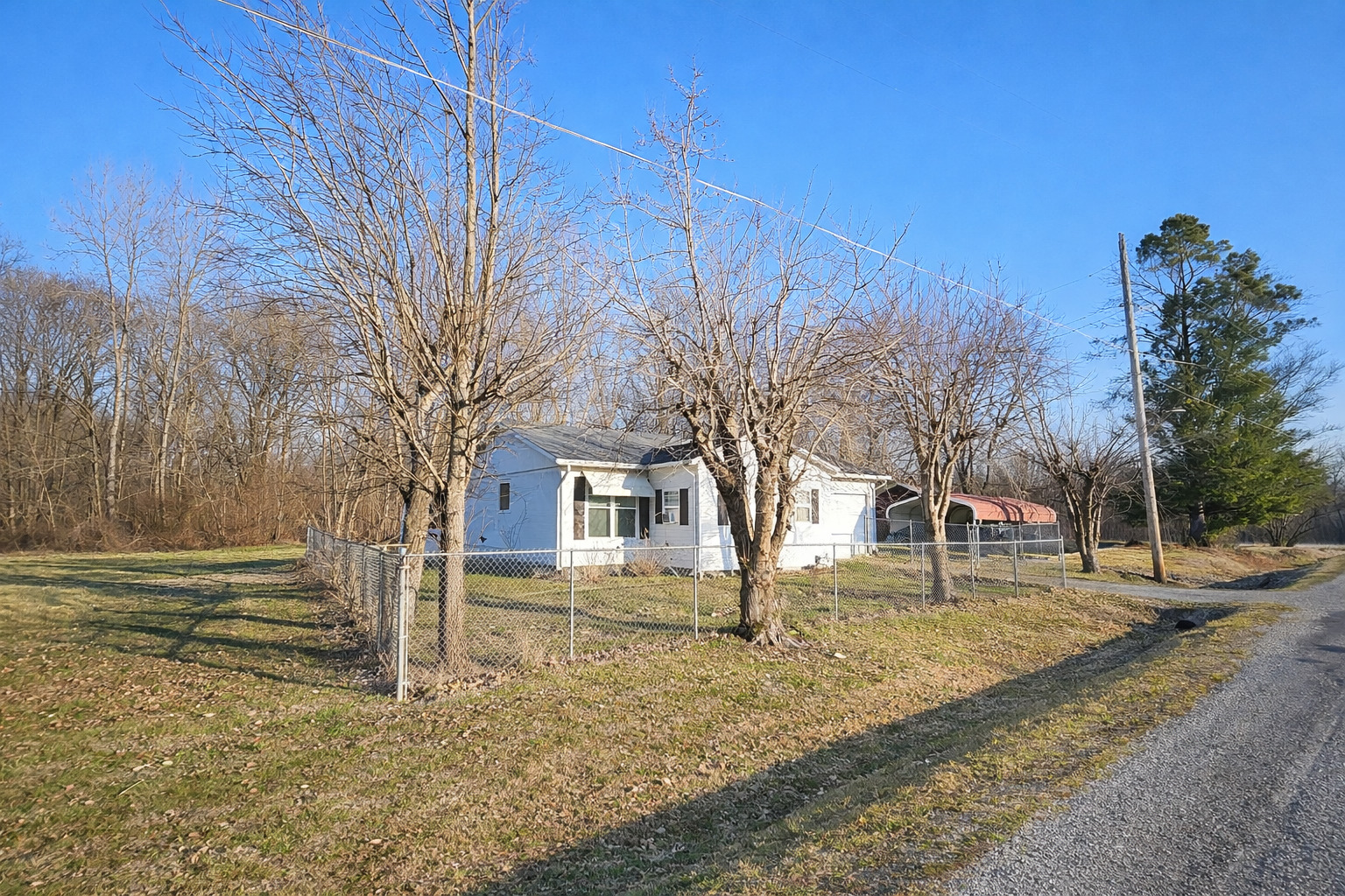 700 Vine Street Pulaski, IL 62976 - Photo 2 of 4