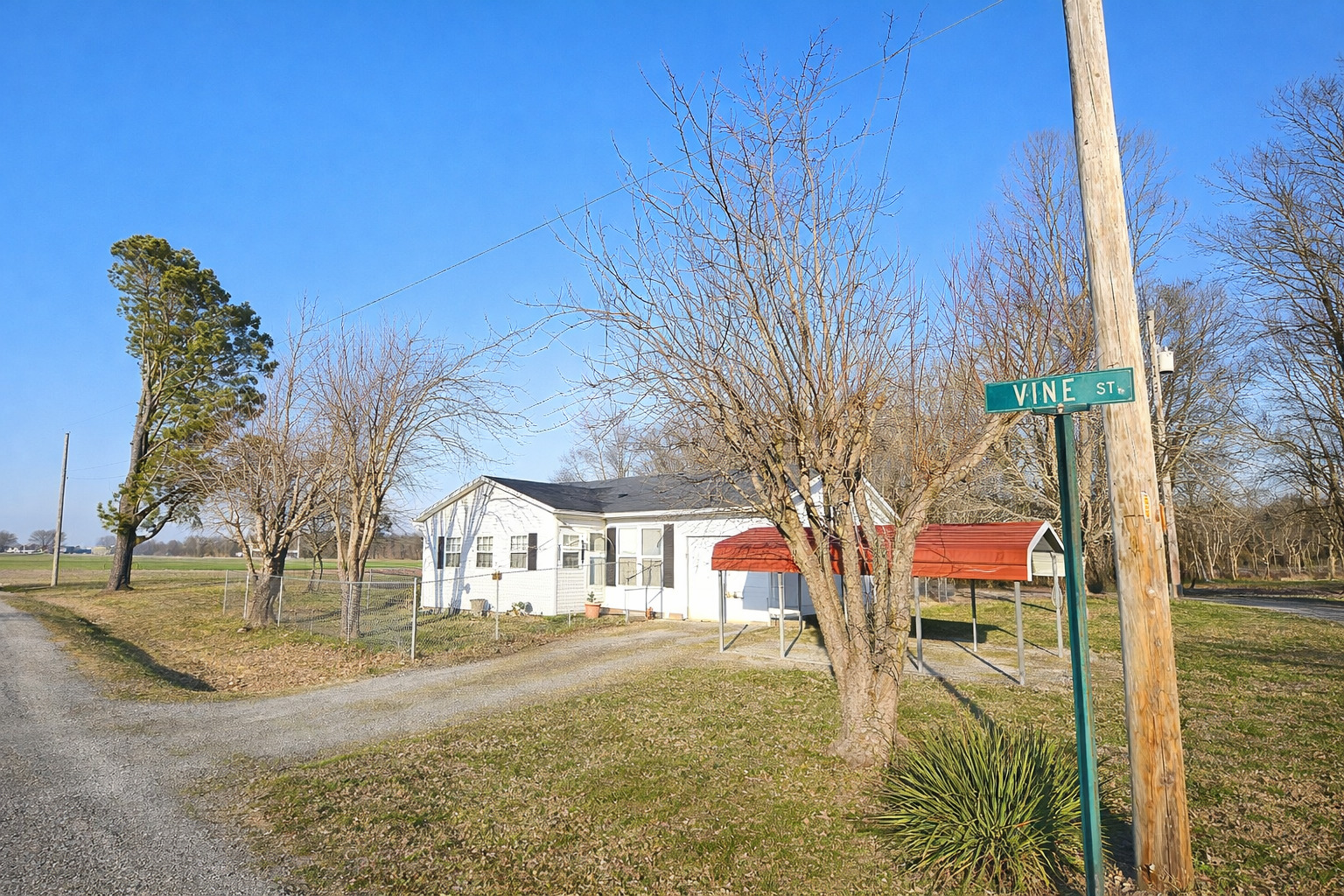 700 Vine Street Pulaski, IL 62976 - Photo 3 of 4