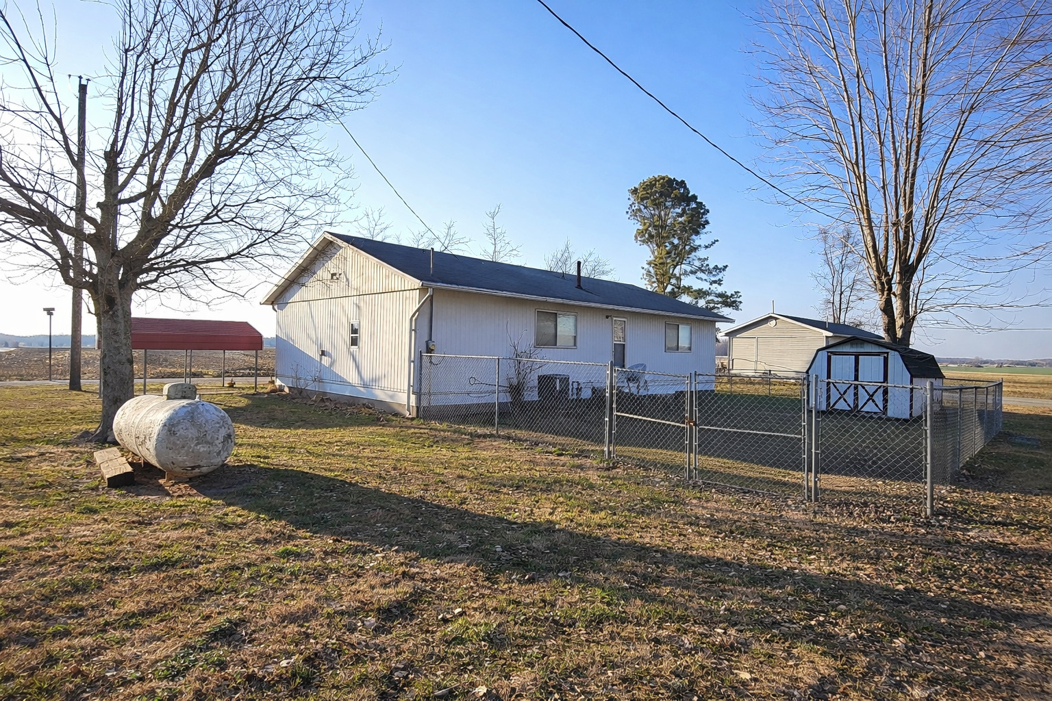 700 Vine Street Pulaski, IL 62976 - Photo 4 of 4