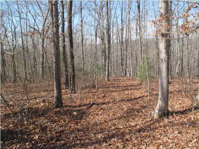 72 Little Bedford Road Spring City, TN 37381 - Photo 1 of 8 Primary Photo