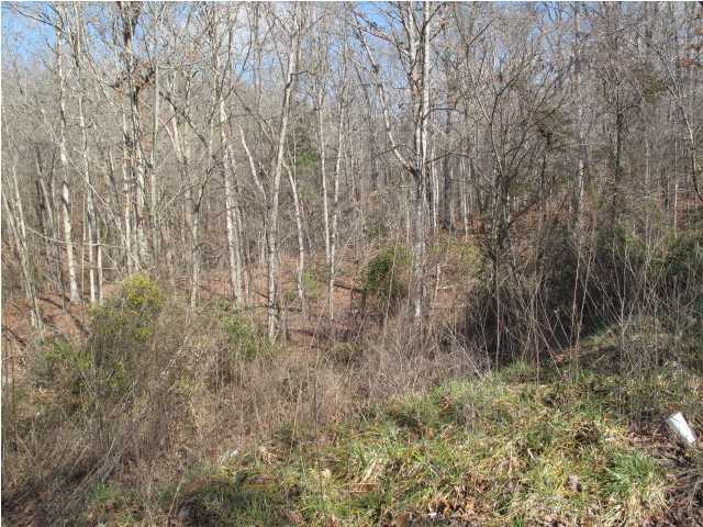 72 Little Bedford Road Spring City, TN 37381 - Photo 3 of 8 Additional Photo