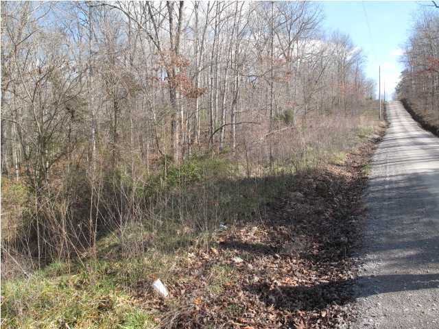 72 Little Bedford Road Spring City, TN 37381 - Photo 4 of 8 Additional Photo