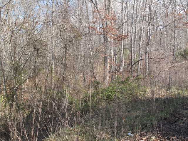 72 Little Bedford Road Spring City, TN 37381 - Photo 5 of 8 Additional Photo
