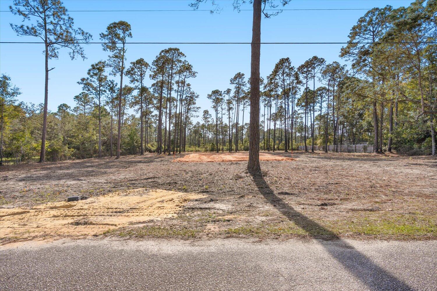 6455 Hammock Trace Milton, FL 32583 - Photo 1 of 20 a view of a yard with a tree