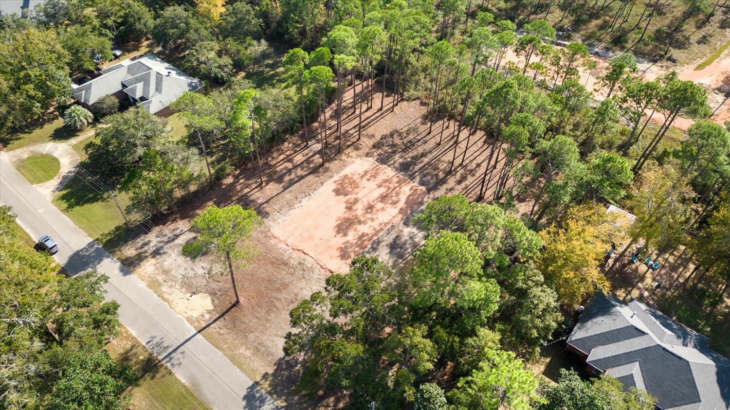 6455 Hammock Trace Milton, FL 32583 - Photo 11 of 20 a view of a yard with plants