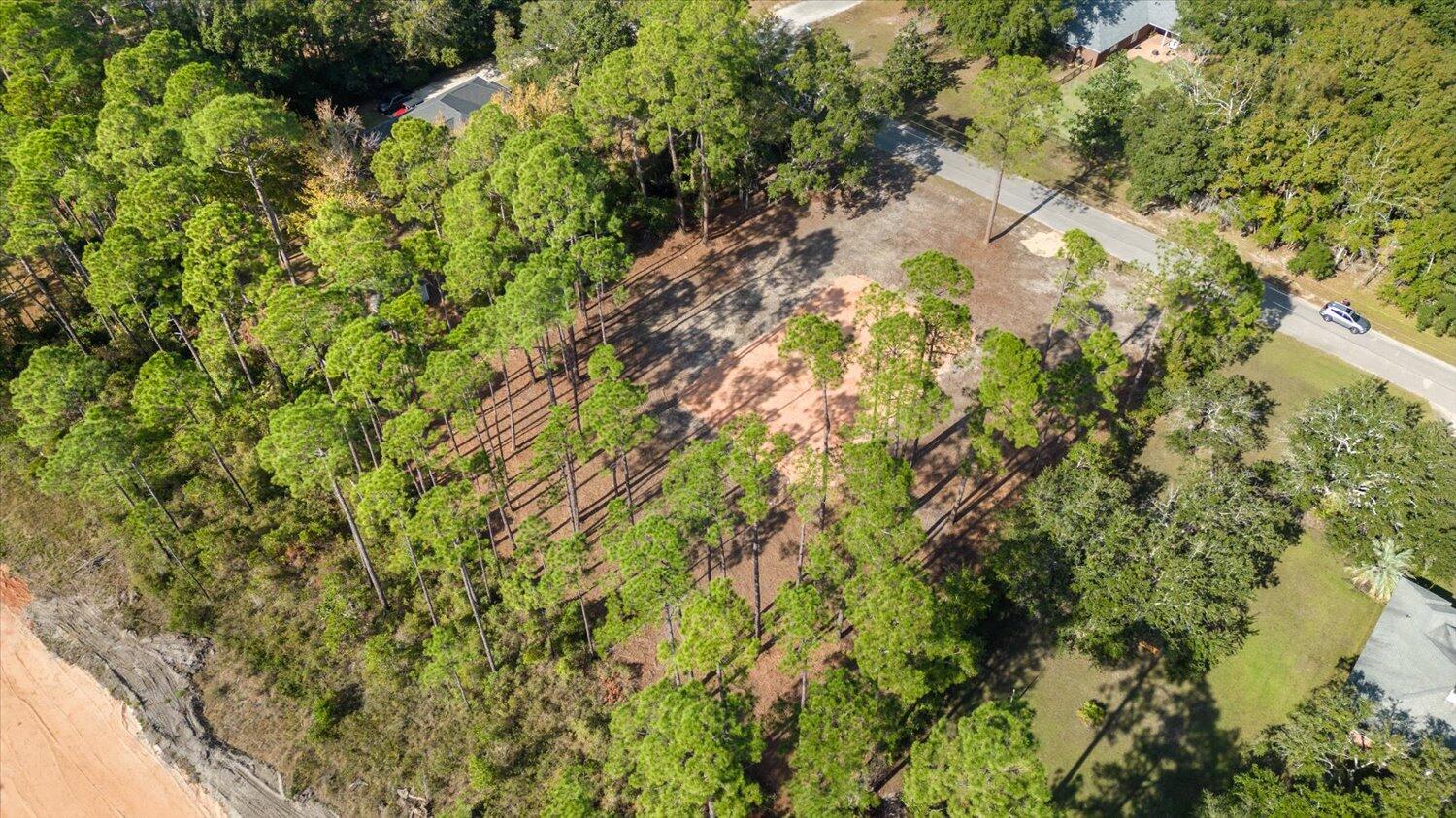 6455 Hammock Trace Milton, FL 32583 - Photo 13 of 20 a view of a forest