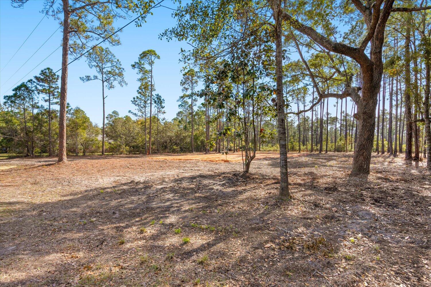 6455 Hammock Trace Milton, FL 32583 - Photo 2 of 20 a view of backyard space