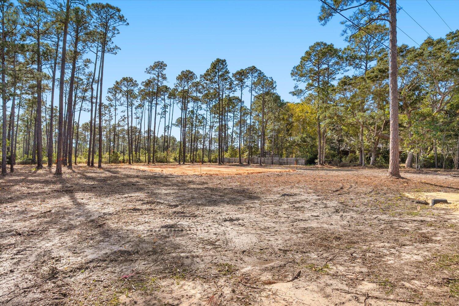 6455 Hammock Trace Milton, FL 32583 - Photo 3 of 20 a view of outdoor space with trees