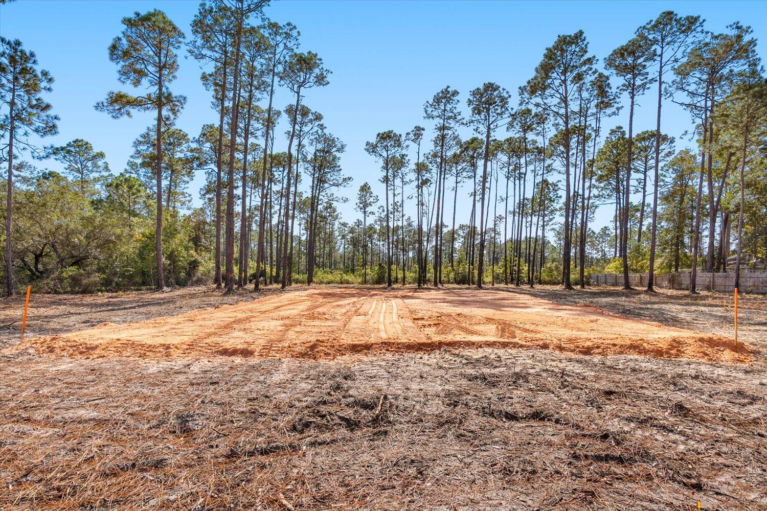 6455 Hammock Trace Milton, FL 32583 - Photo 4 of 20 a view of yard with trees