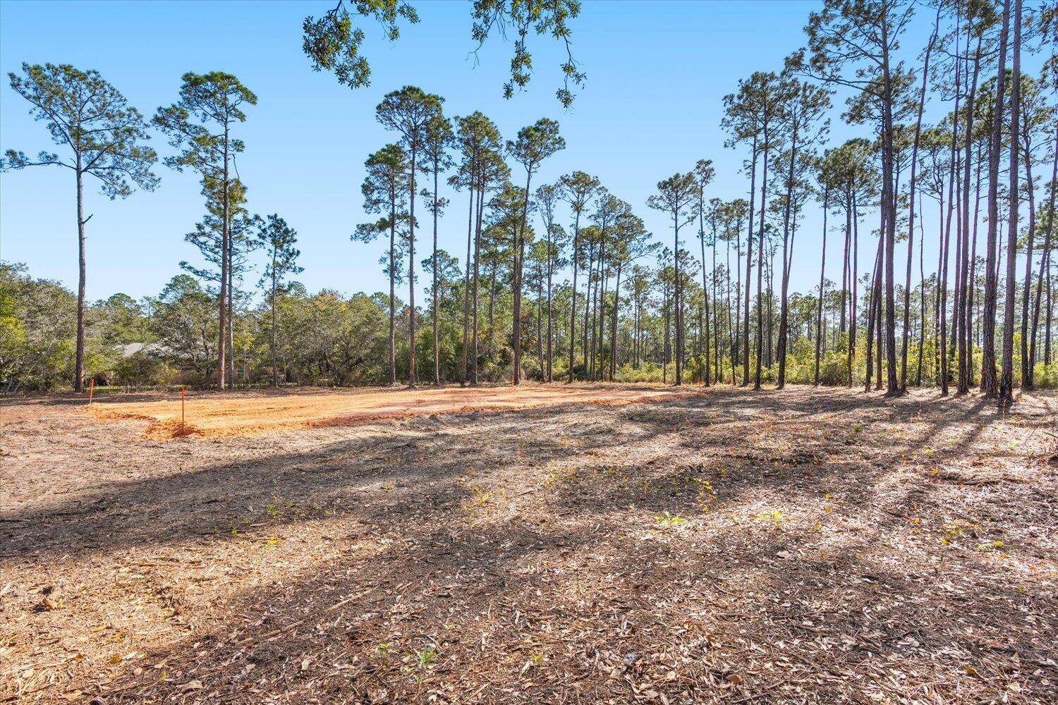6455 Hammock Trace Milton, FL 32583 - Photo 5 of 20 a view of backyard space