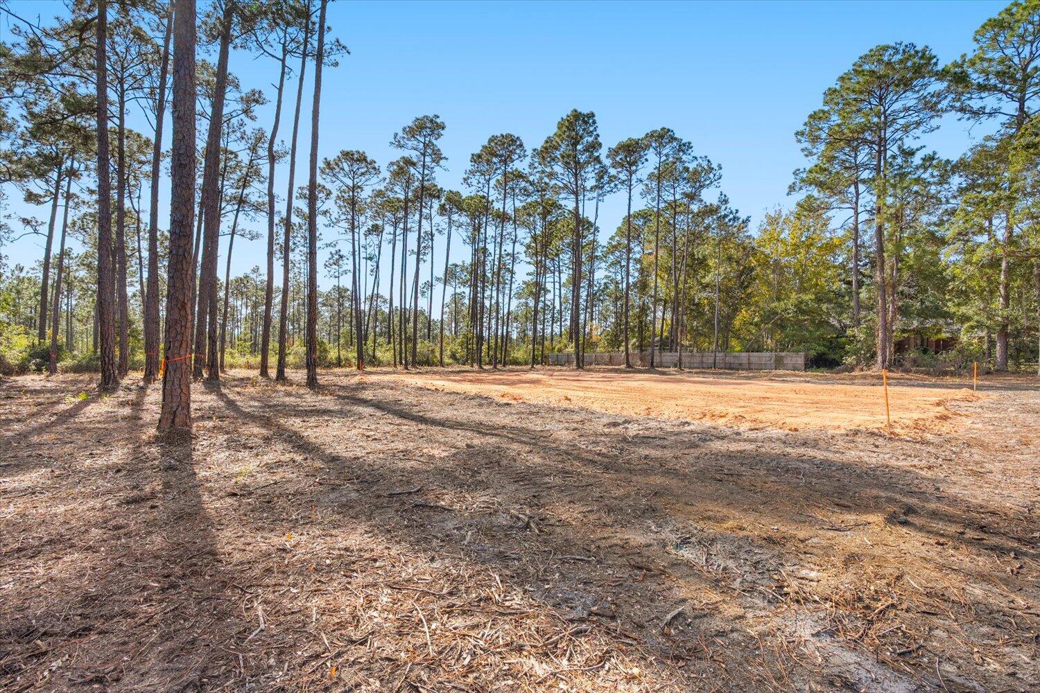 6455 Hammock Trace Milton, FL 32583 - Photo 6 of 20 a view of outdoor space with trees
