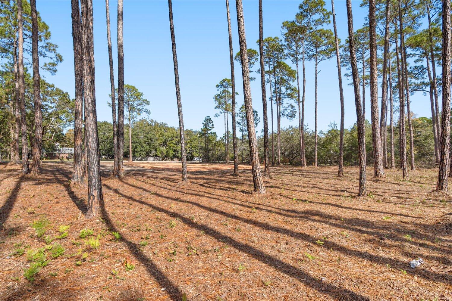 6455 Hammock Trace Milton, FL 32583 - Photo 9 of 20 a view of a yard with cars on road